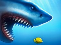 Mega Shark Online Game