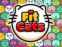 Fit Cats Online Game