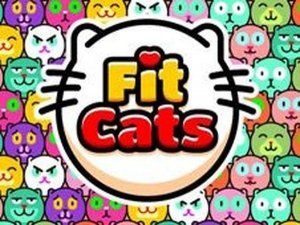 Fit Cats Online Game