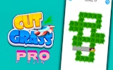 Lawn Puzzle Pro: Grass Care