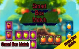 Smart Box Match Puzzle Game - Online Logic Challenge