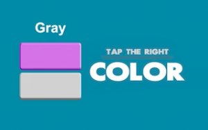Hue Dash: Speed Matching Puzzle