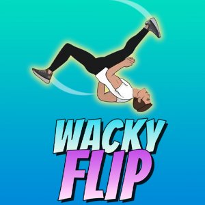 Wacky Flip Online Game